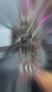 Vídeo 4